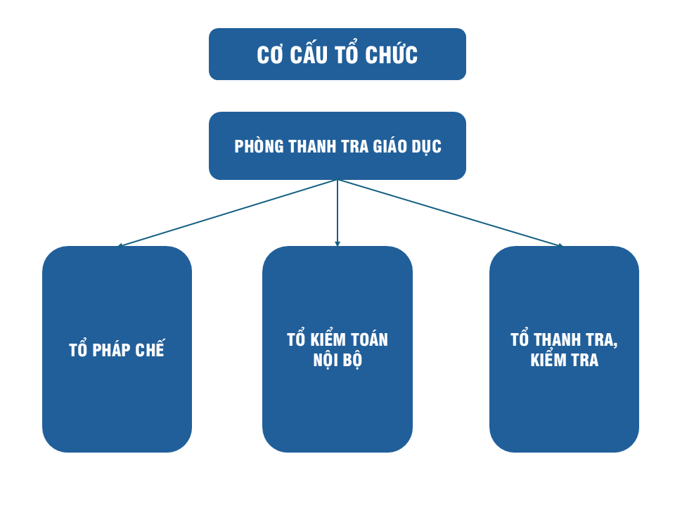 Cơ cấu tổ chức